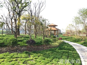 濱江工業園區-通揚路